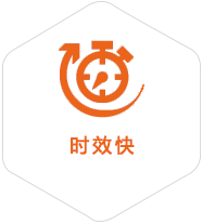 大新到加拿大物流公司